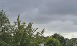 Featured image of post 八月報告