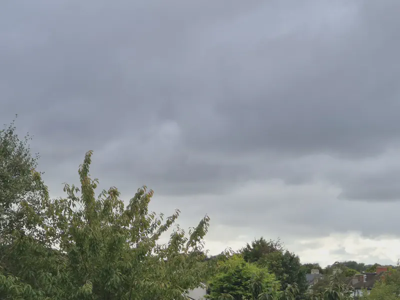 Featured image of post 八月報告