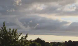 Featured image of post 七月報告