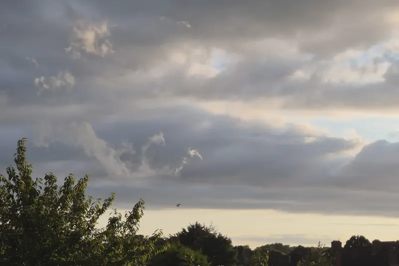 Featured image of post 七月報告