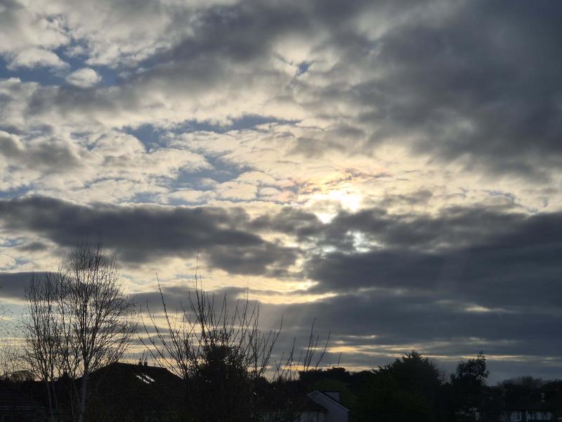 Featured image of post 三月報告