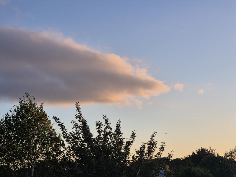 Featured image of post 五月報告