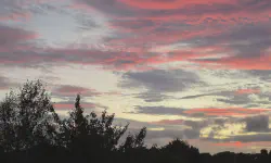 Featured image of post 十月報告