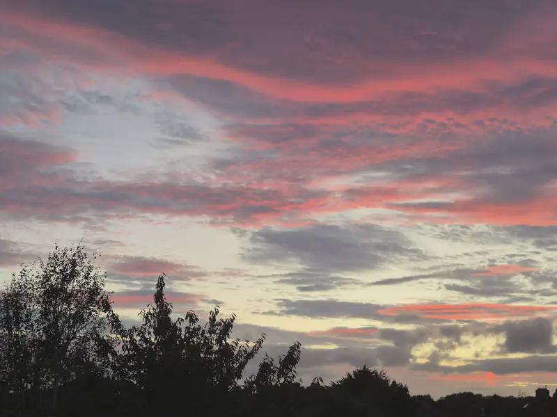 Featured image of post 十月報告