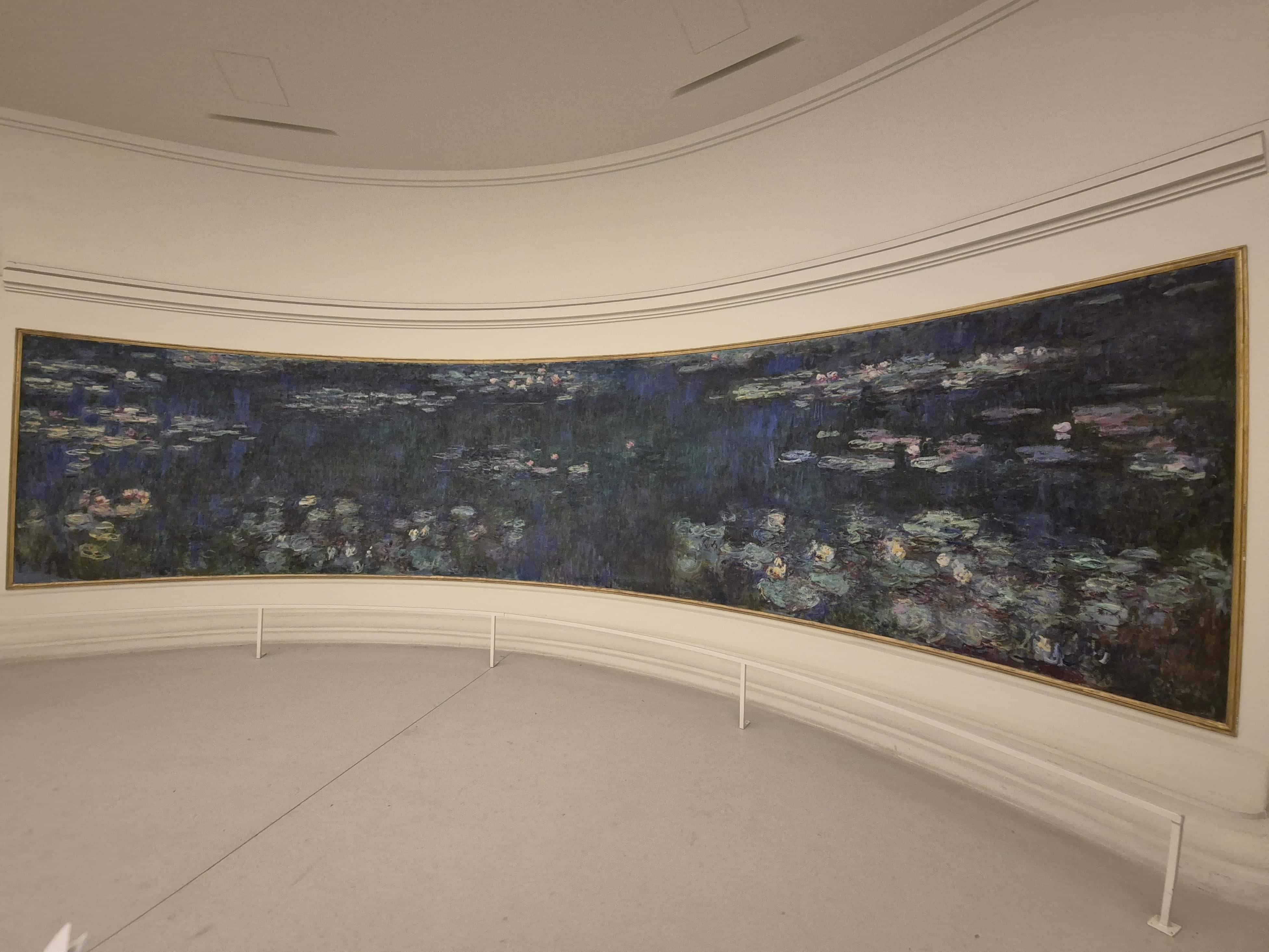 比較普通的睡蓮