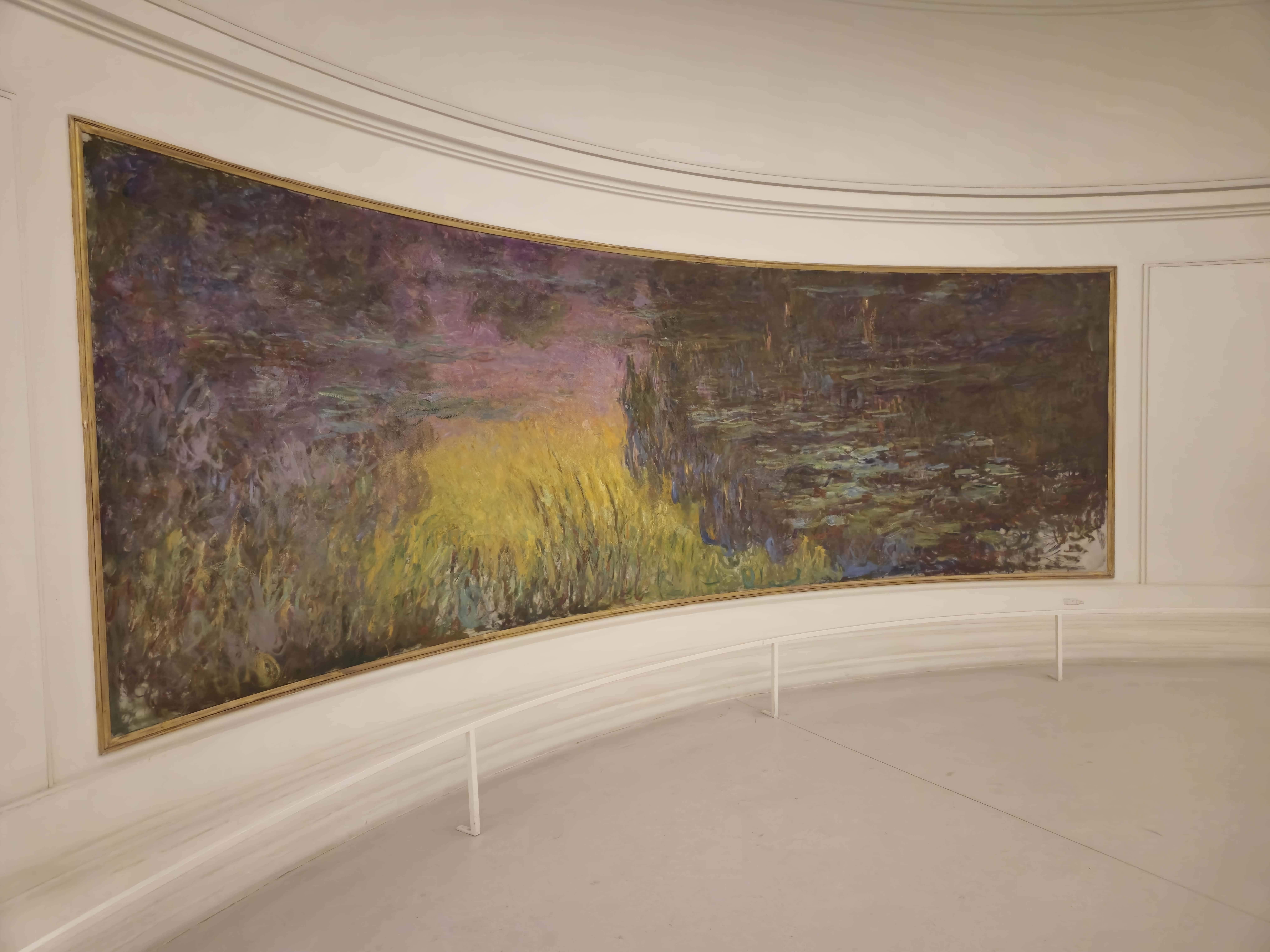 暖色調的睡蓮（可能是清晨）