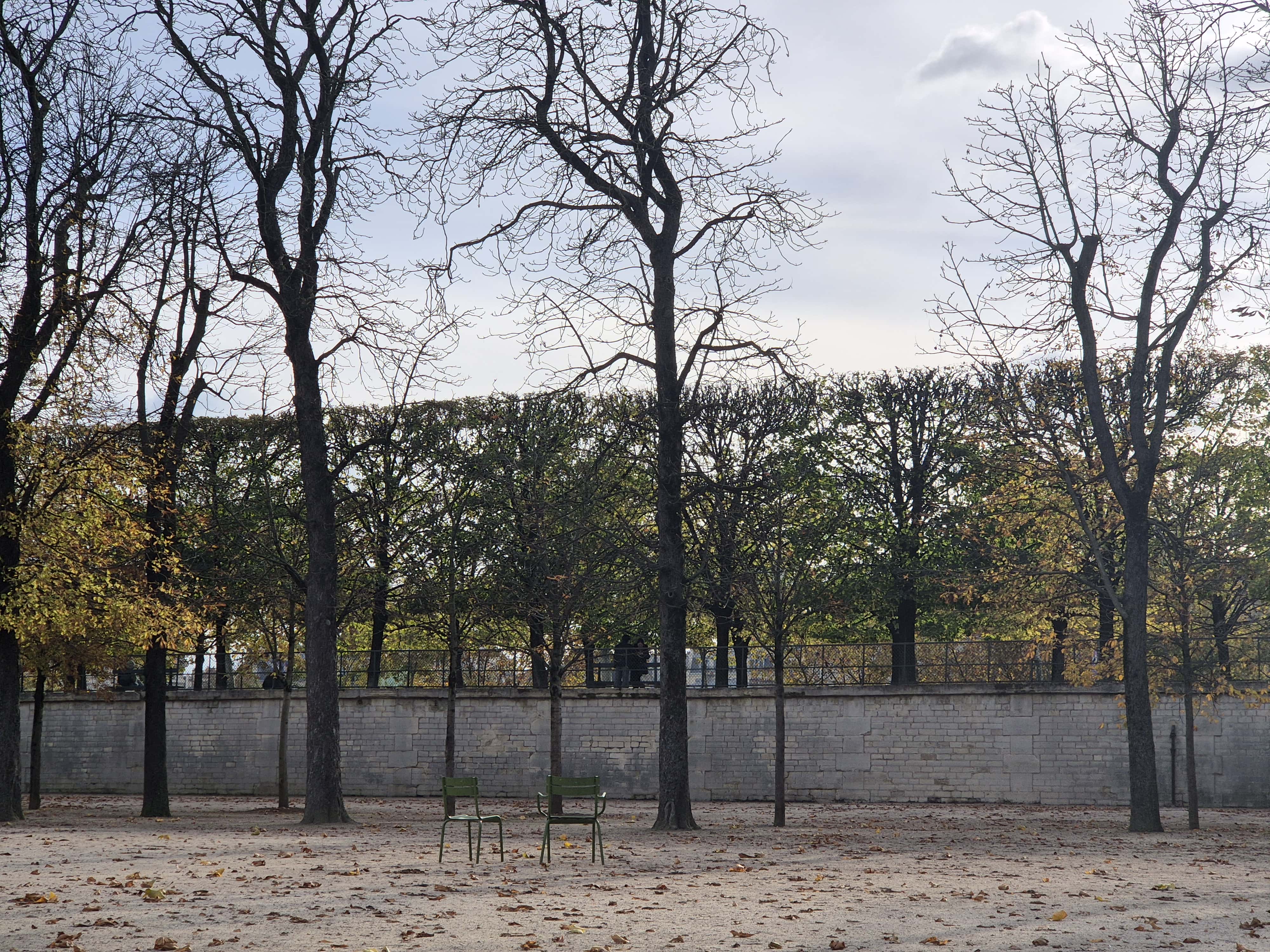 少見的自由椅子